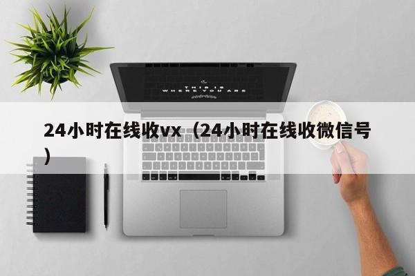 24小时在线收vx（24小时在线收微信号）