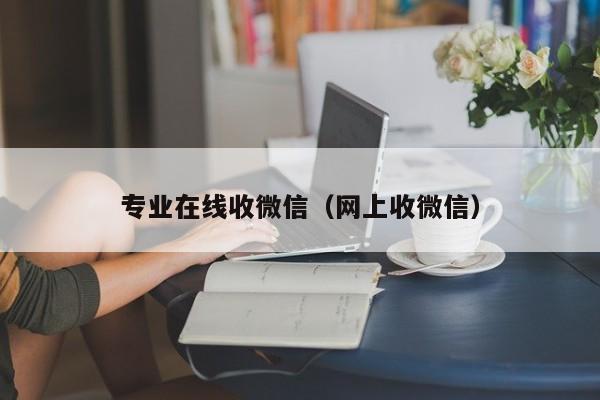 专业在线收微信（网上收微信）