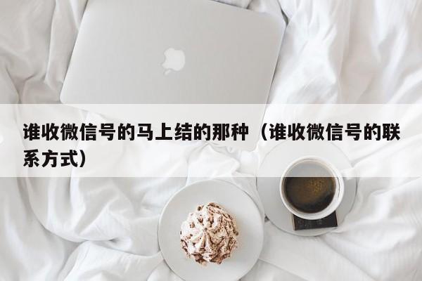 谁收微信号的马上结的那种（谁收微信号的联系方式）